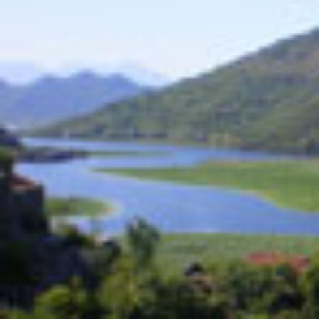 New China House on 2nd Street